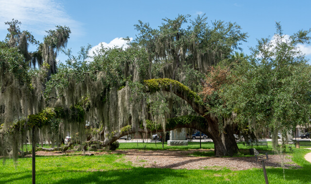 Capital Improvements & Ordinance